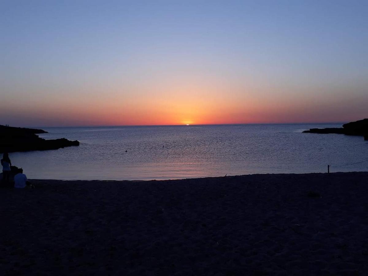 B&B Il Turchese Palmadula Dış mekan fotoğraf