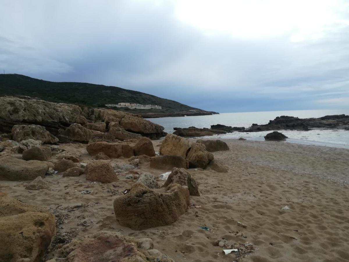 B&B Il Turchese Palmadula Dış mekan fotoğraf