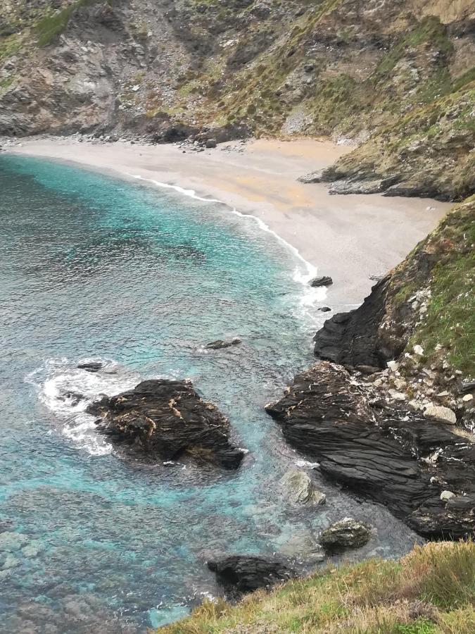 B&B Il Turchese Palmadula Dış mekan fotoğraf