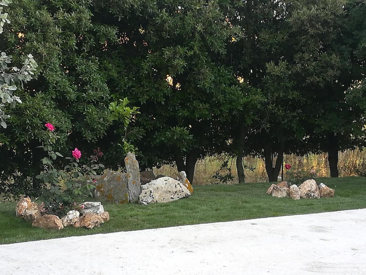 B&B Il Turchese Palmadula Dış mekan fotoğraf