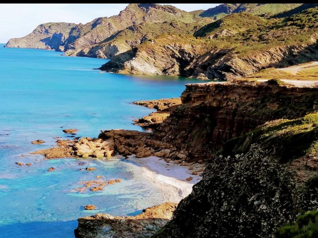 B&B Il Turchese Palmadula Dış mekan fotoğraf