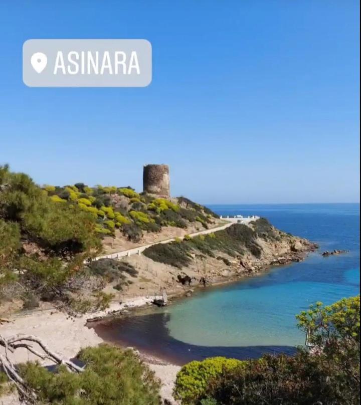 B&B Il Turchese Palmadula Dış mekan fotoğraf